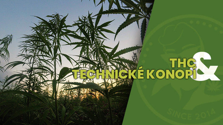 TECHNICKE_KONOPI