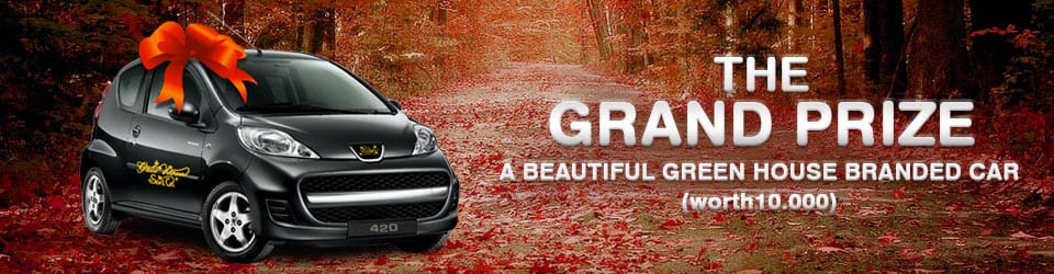 BANNERS_CAR