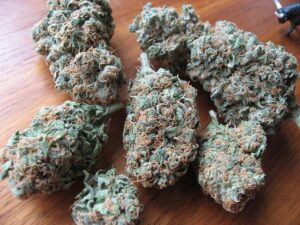 Blueberry