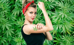 estrogen a marihuana