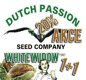 Dutch Passion akce na semena konopi growshop growmart