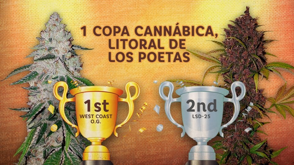Novinka na Growmartu: Seedbanka FastBuds