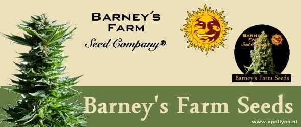 Představení SeedBanky Barneys Farm