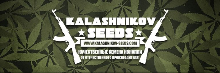 Představení SeedBanky Kalashnikov Seeds