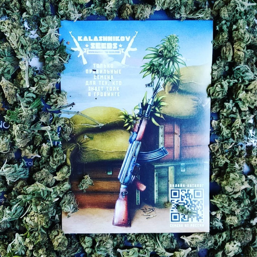 Představení SeedBanky Kalashnikov Seeds