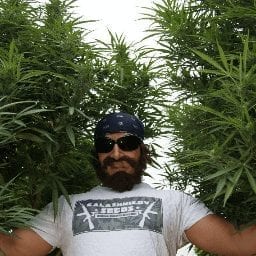 Představení SeedBanky Kalashnikov Seeds