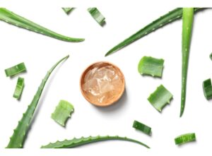 gel z aloe vera
