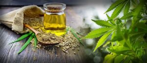 CBD a antioxidanty