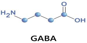 GABA