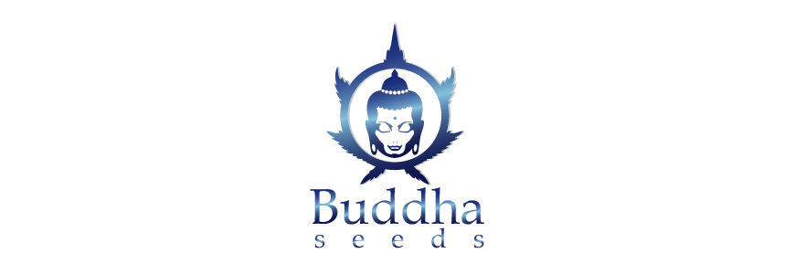 buddha-seeds-growshop-growmart