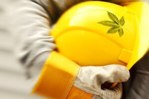 CBD a bezpečnost