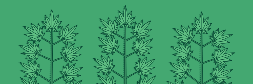 Co to je defoliace?