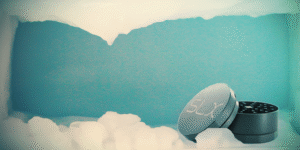 zmrazit drtičku? proč ne