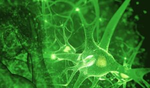 neurotransmitery