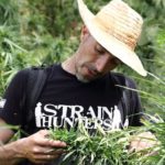 Franco Loja Green house seeds strain hunters