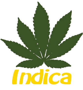 konopí indické