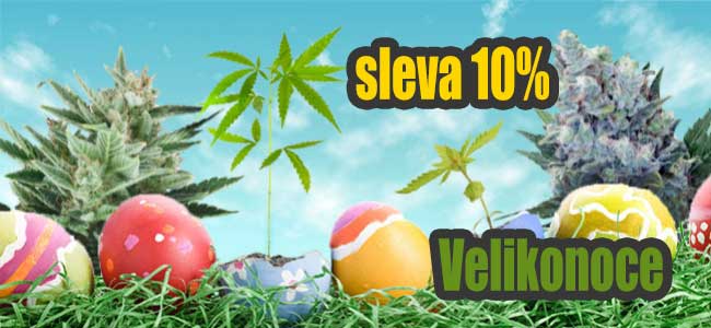 velikonoční sleva growmart semena konopi 10%