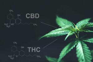 THC a CBD