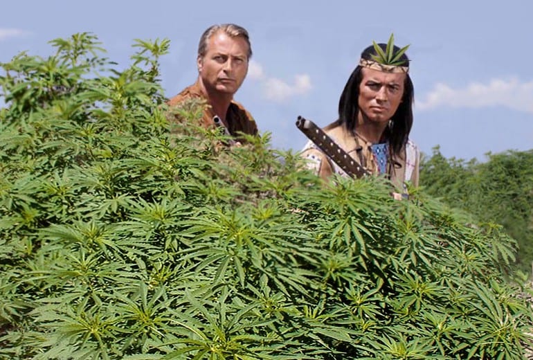 jak vypestovat marihuanu