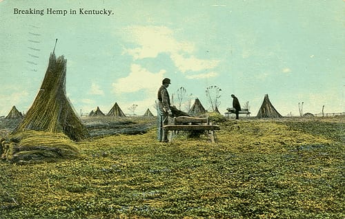 kentucky_hemp_farming