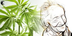 Alzheimer u starších osob