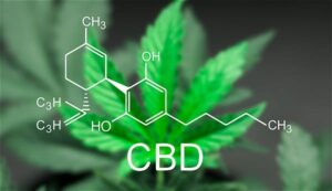 CBD extrakty z konopí