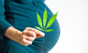 marihuana a plodnost
