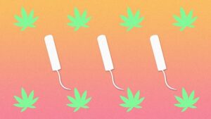 CBD tampóny?