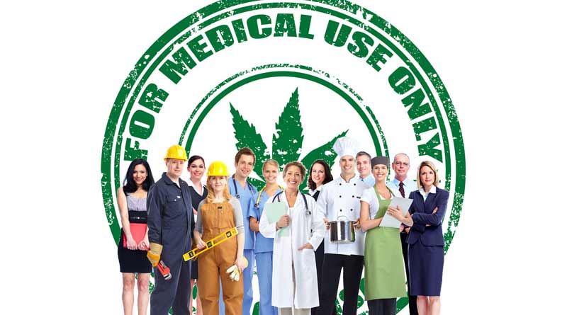 Northern Lights - recenze nejpopulárnější konopné odrůdy