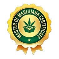 Northern Lights - recenze nejpopulárnější konopné odrůdy