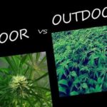 outdoor-vs-indoor