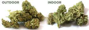 outdoor nebo indoor?