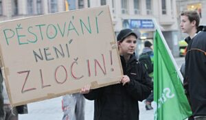 pestovani-neni-zlocin