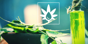 nimbový olej proti škůdcům