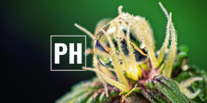 optimalizujte hladinu pH