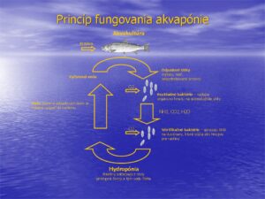 princip-aquaphonie-growmart