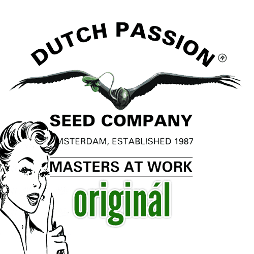 Dutch Passion konopná semena
