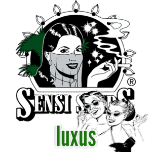 Sensi Seeds semena marihuany