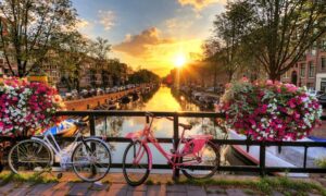 Nizozemsko a přístup k marihuaně