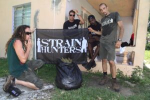 semena strain hunter