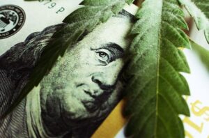 americký trh s konopím