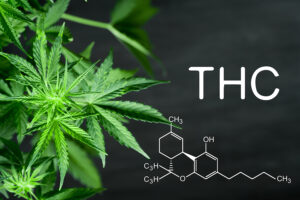 vedlejší účinky THC