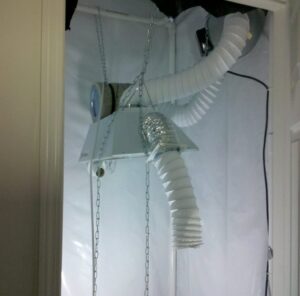 vetrani-pestovani-konopi-4