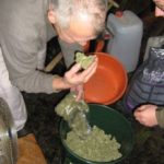 výroba-konopného-výtažku-growmart-2