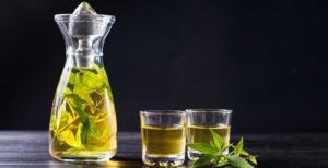 výroba cbd tinktur