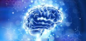 Kanabigerol působí na mozek