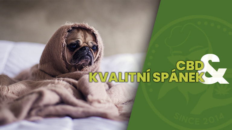 CBD a KVALITNI SPANEK