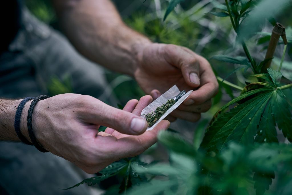 Dočkáme se legalizace konopí v ČR už v roce 2024?