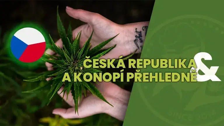 CESKO_KONOPA