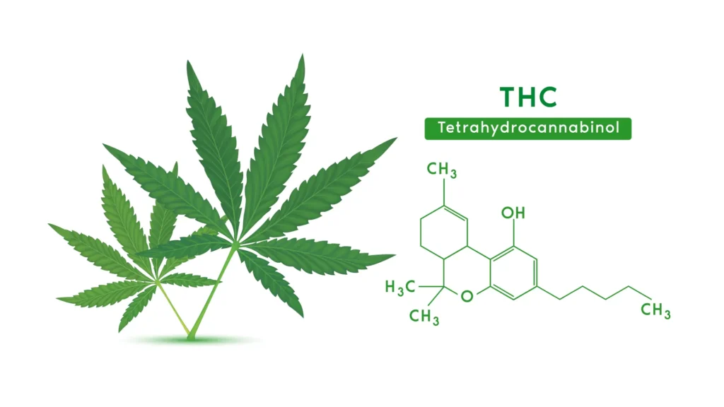 Co je THC?